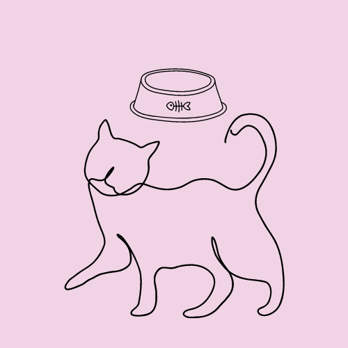 Cat Bowls & Feeders