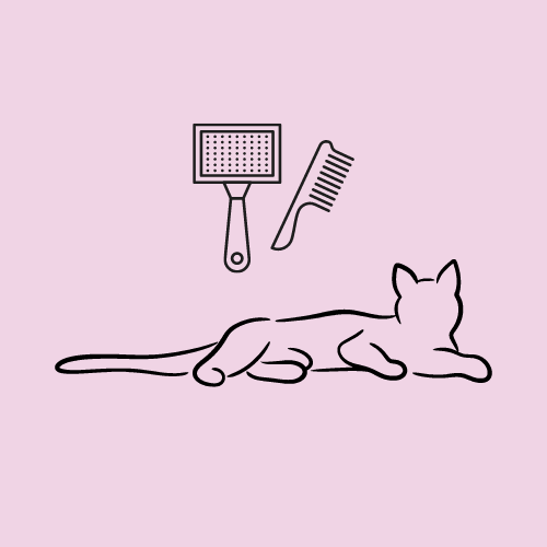 Cat Grooming Accessories