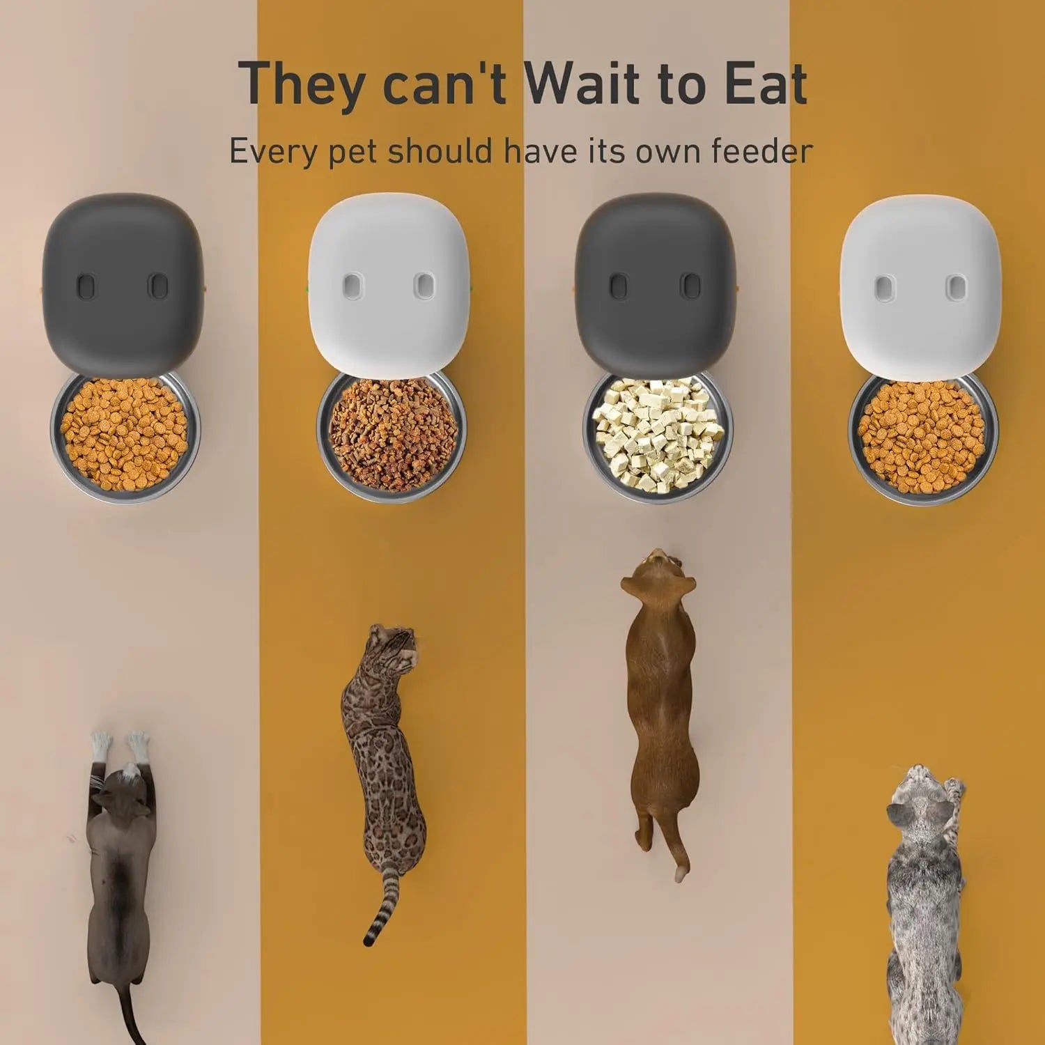 Automatic Cat Feeder 2L, Timed Dry Food Dispenser with 180-Day Battery, 1-6 Meals Programmable Portion Control for Cats & Dogs