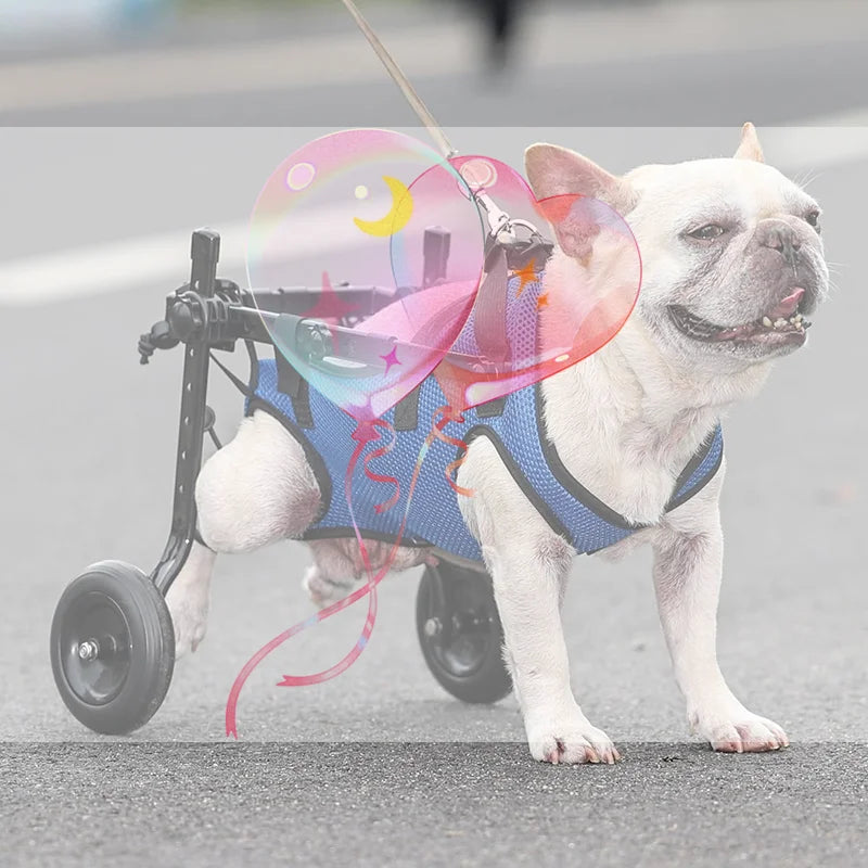 Adjustable Small Dog Wheelchair For Back Legs Disabled Pets Leg Brace Mobility Aid For Small Pets Hind Limb Rehabilitation Older