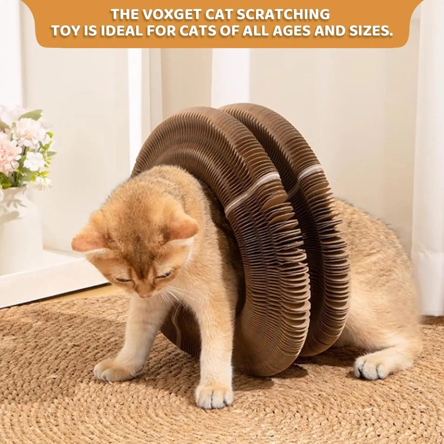 Foldable Cat Scratching Board with Balls and Bells, Interactive Toy for Indoor Cats Exercise and Anxiety Relief