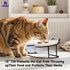 Oitabi Elevated Cat Bowls,15°Tilted Stand Anti Vomiting Raised Cat Dishes for Food and Water, 2 Ceramic Bowls for Cats and Puppy