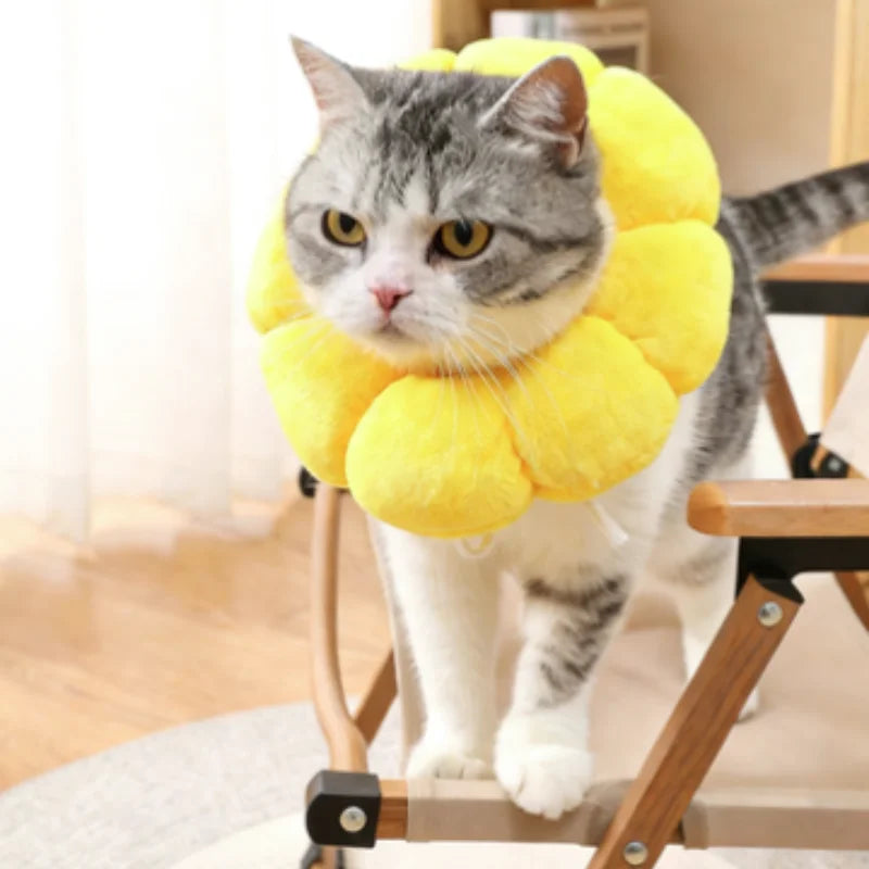 Sunflower Pet Adjustable Elizabethan Collar for Cats Soft Plush Anti-Bite Anti-Lick Surgery Recovery Cat Protection Wound Healin