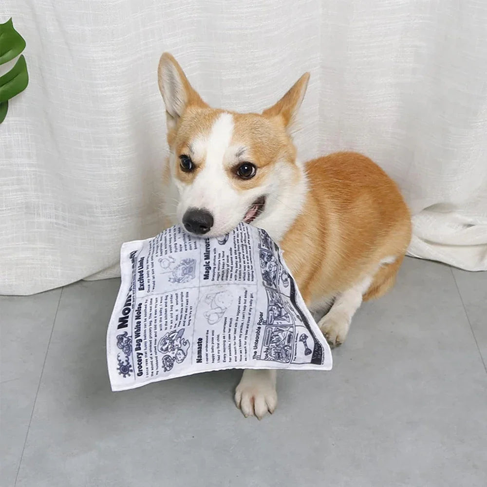 1 PC Interactive Squeaky Dog Toy Plush Newspapers Shaped Chew Toy with Alphabet Print Pattern Teeth Molar Toys for Pet Dogs Cats