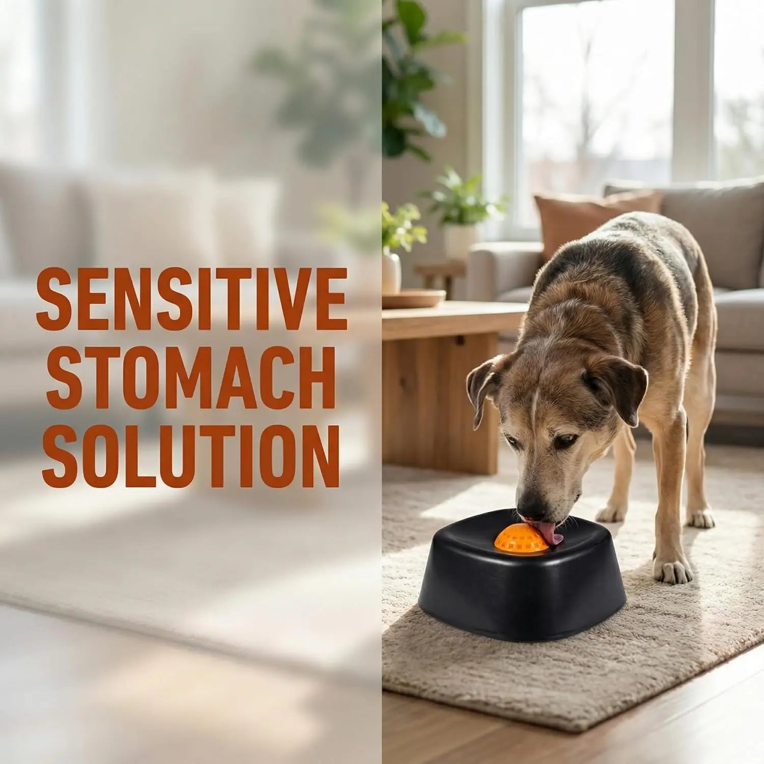 Slow Feeder Dog Bowls for Liquid with Rolling Ball Interactive Lick Bowl AntiSlip Slow Feeder for Wet Food Water Treats Lick Toy