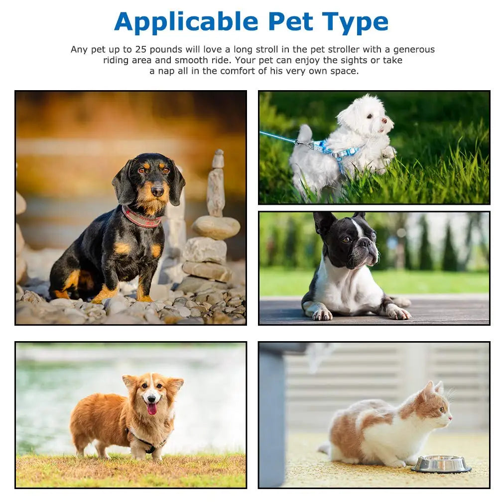 4-Wheel Lightweight Folding Pet Stroller for Small Dogs and Cats with Soft Pad, Easy Travel and Storage