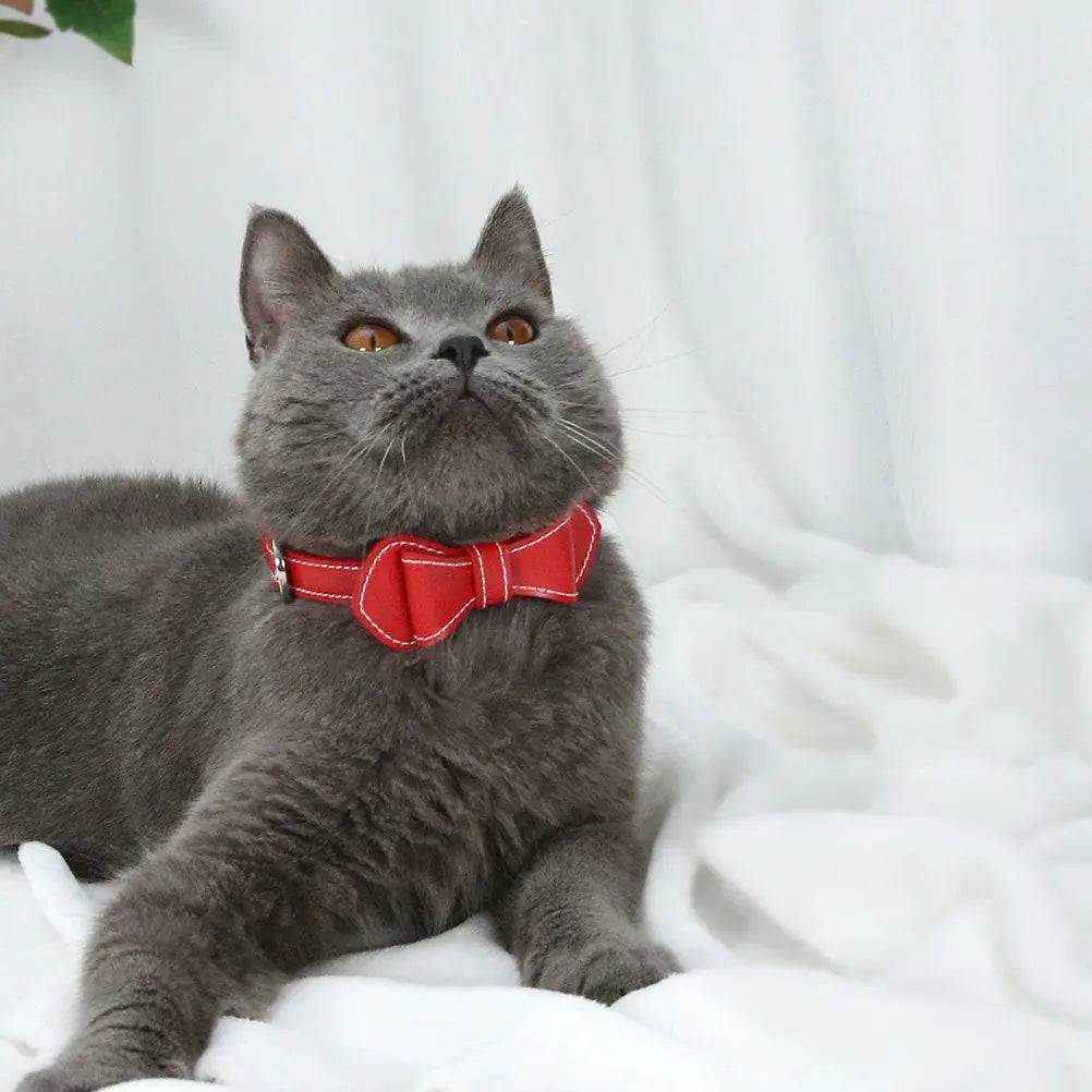Butterfly Knot Pet Red Durable Pu Material For Cat Dog Stylish Neck Accessory Pet Supplies Pu Dog Collar Cat Bowknot Collar