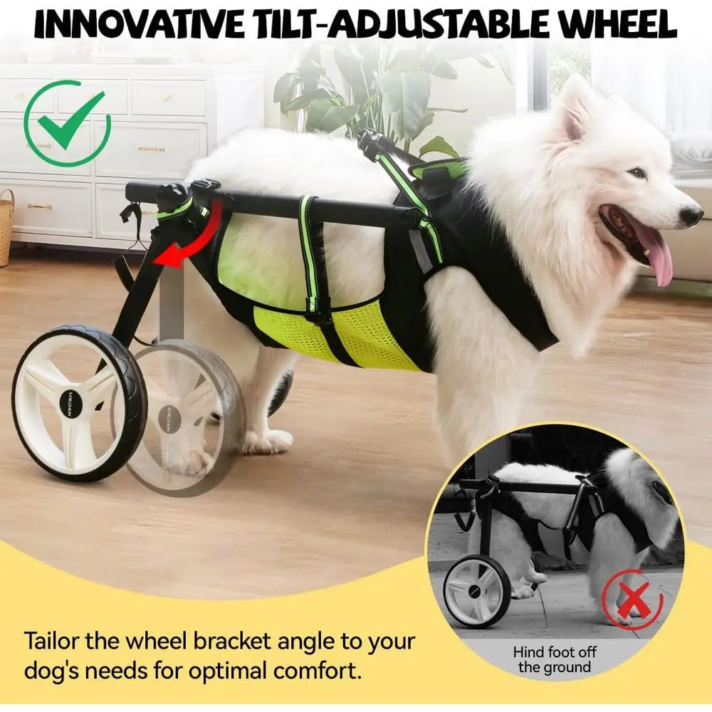 Adjustable Waterproof Dog Wheelchair for Large and Small Dogs with LED Lights, Leash, and Angle-Adjustable Wheels for Disabled B
