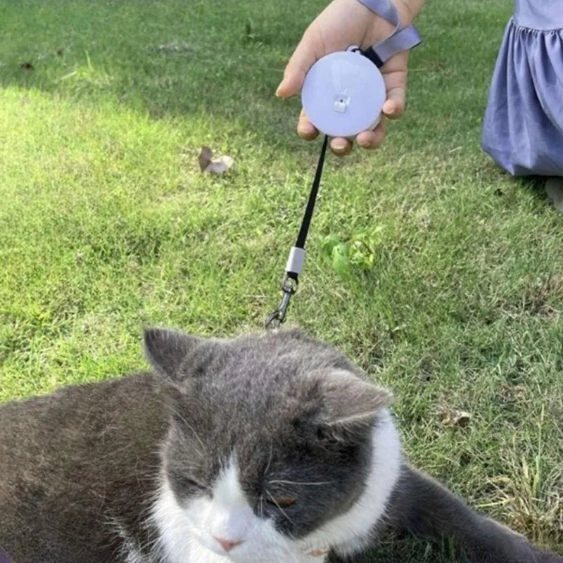 2M/3M Retractable Mini Dog Leash Automatic Flexible Dog Puppy Cat Traction Rope Belt Dog Leash for Small Medium Dogs Pet Product