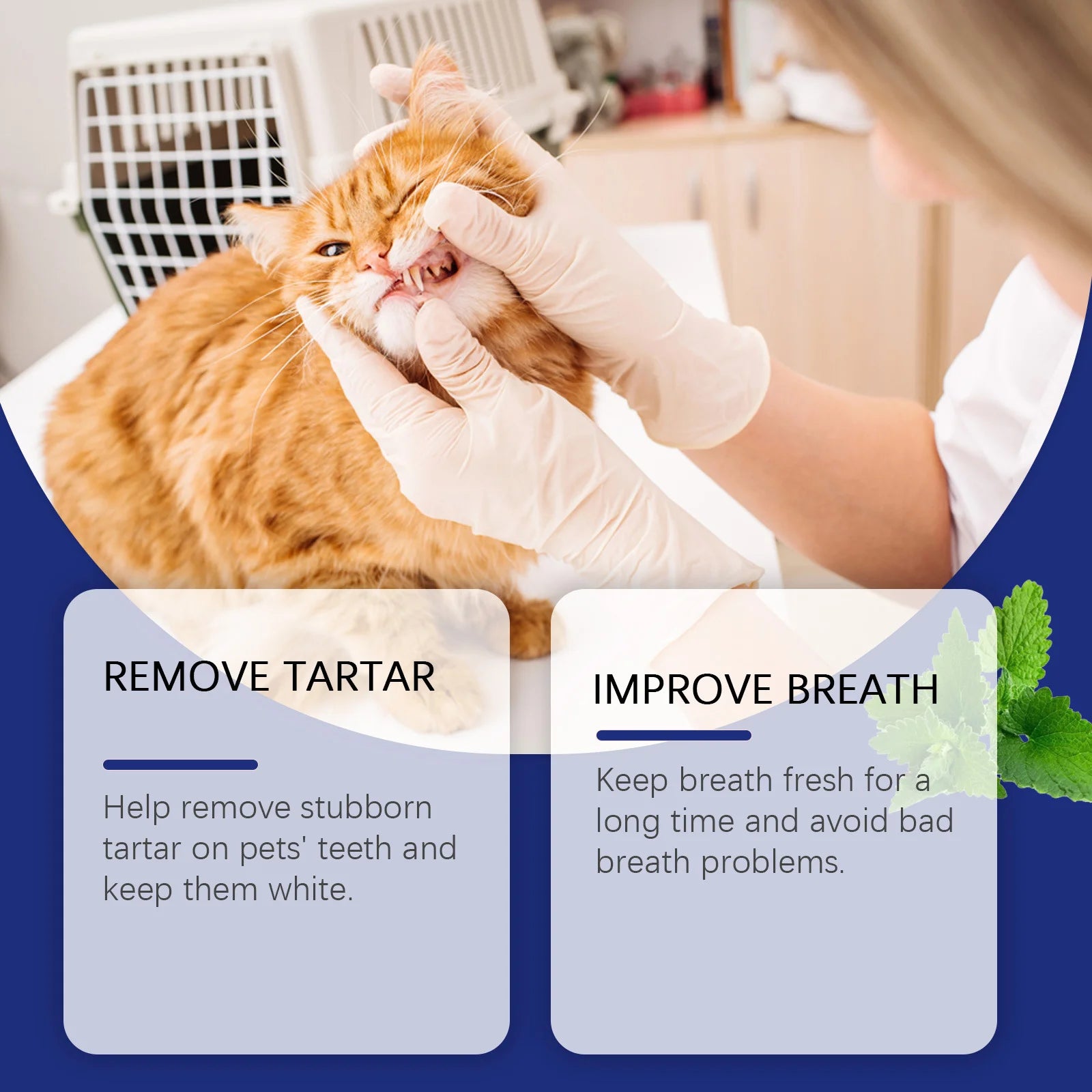 Dental Powder for Pet Teeth Cleaning Products Dogs Bad Breath Treatment Plaque off Teeth Stone Tartar Remover Cats Dental Care
