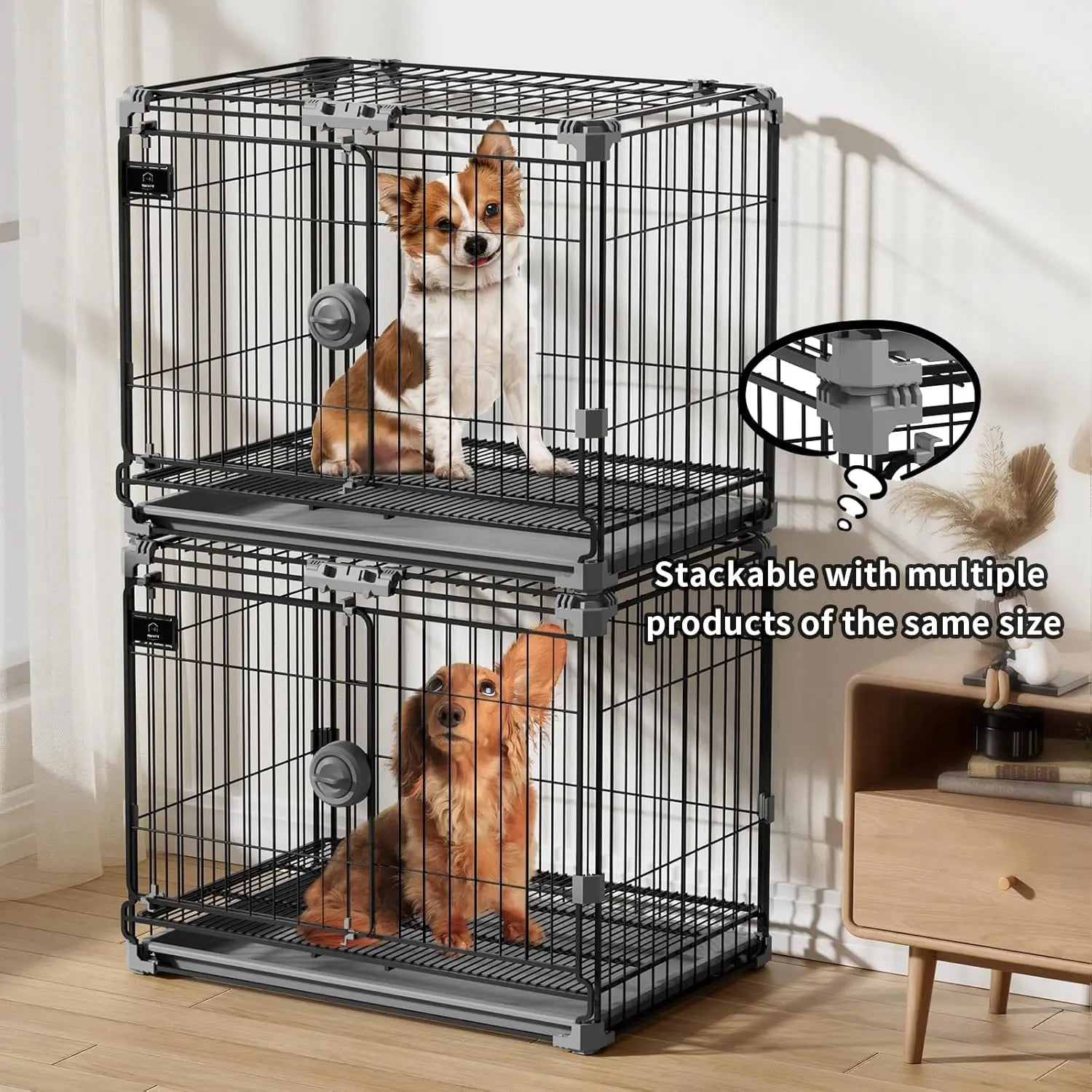 24-Inch Black Metal Dog Crate for Small Pets Under 25lbs, Double Door with Removable Tray