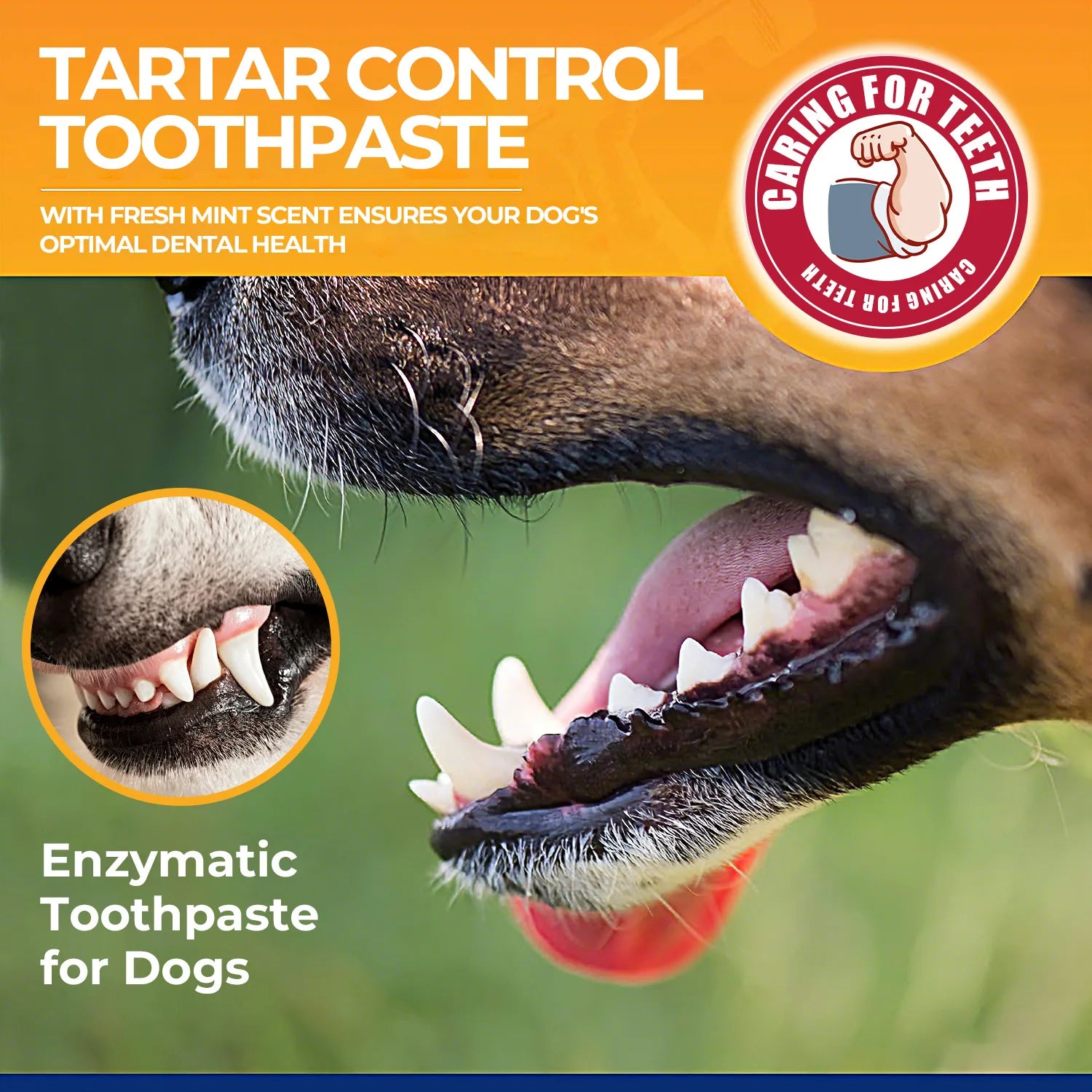Baking soda fortified formula enzyme toothpaste helps dogs freshen their breath, control tartar and soothe their gums 60g