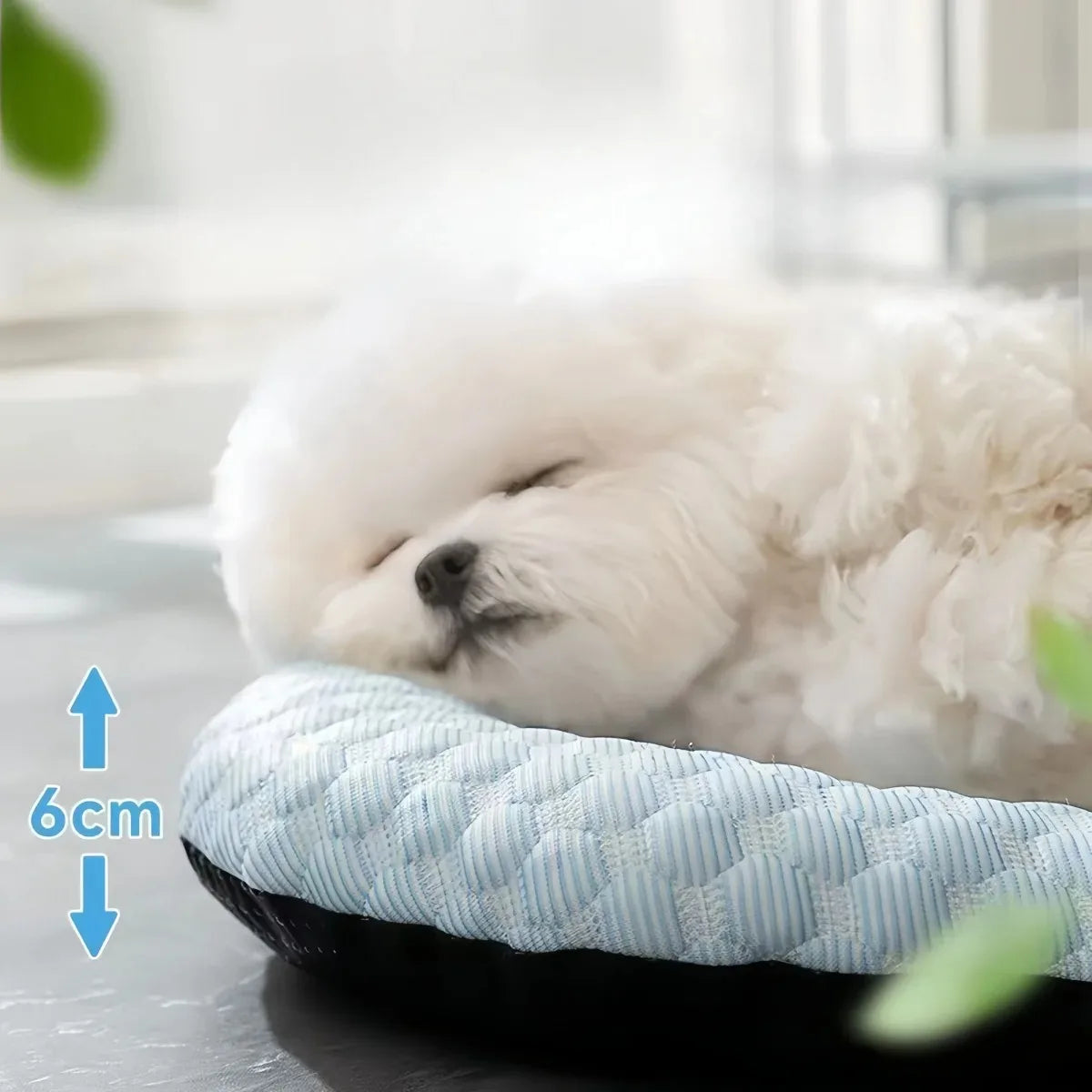 Pets House Indoor Cooling Mat Dog Accesories Summer Kennel Sofa Baby Bed Pet Beds for Small Dogs Products Cushion Accessories