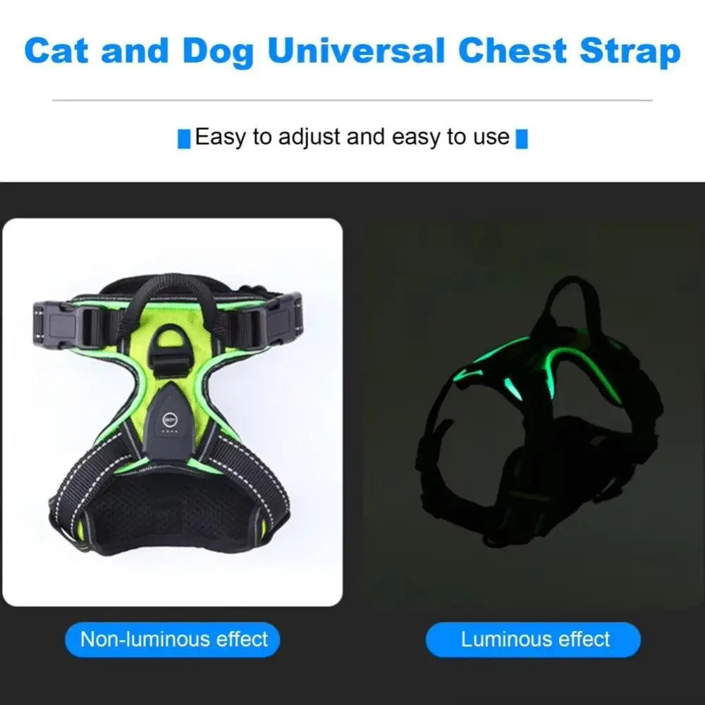 Durable Light Up LED Dog Harness Adjustable Rechargeable Luminous Pet Chest Strap Soft Flashing Dog Glow Vest Cats Pet