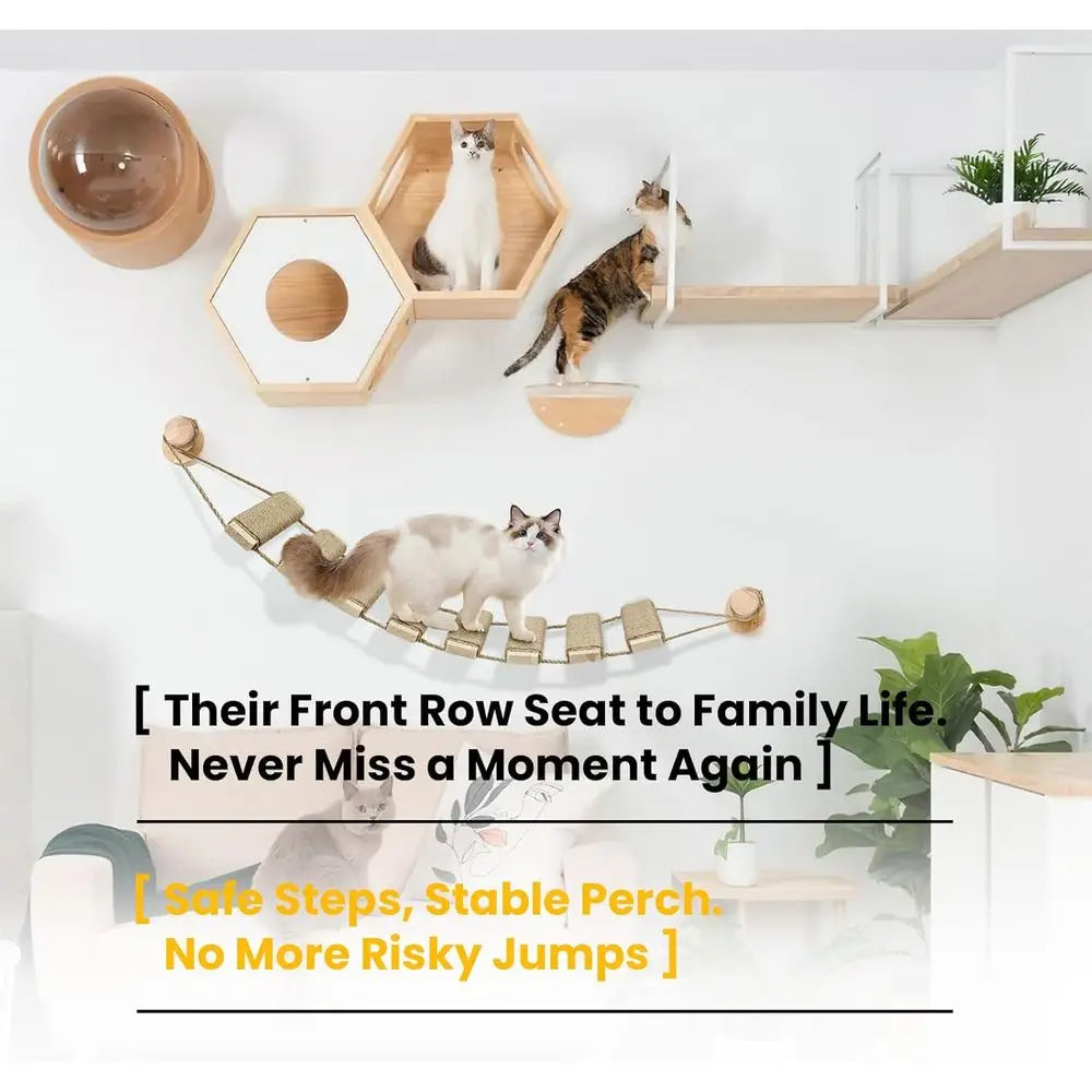 20in Cat Ladder & Bridge, Outdoor Tree with Rope, Multi-Level Climb & Scratcher for Indoor/Outdoor Cats (Wood Tone)