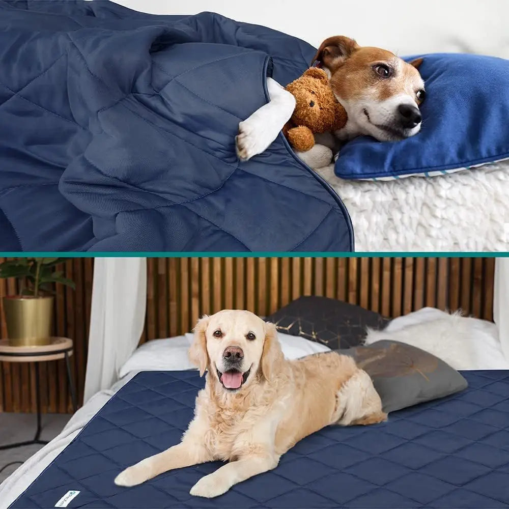 Luxury Cozy Dog Blanket | Soft Pet Throw for Dogs & Cats | Reversible Couch Cover | 90x90 Navy