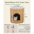 Large Double Cat House Bed Cave, Handwoven Rattan Pet Beds with Removable Pad, 17 x 17 x 17, Natural Indoor Kitty Hideaway