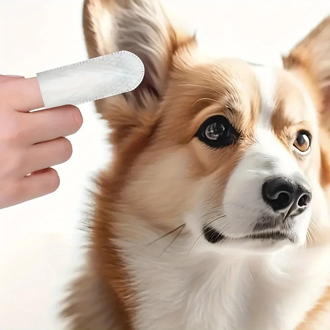 100pcs Pet Cleaning Wet Wipes Finger Cot Ear Teeth One Time Cleaning Finger Cot Pet Cat Dog Odor Removal Cleaning Cloth Pet Tool