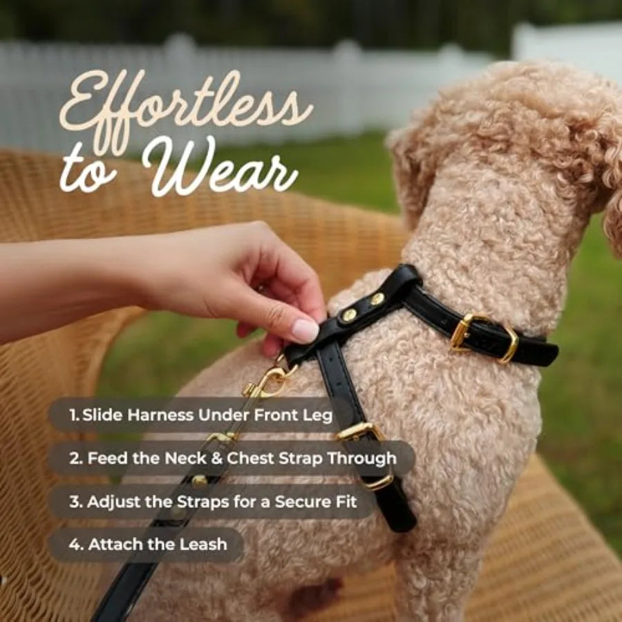 Luxury No Pull Dog Harness and Leash Set PU Leather Escape-Proof Design Anti-Choke Comfort Front/Back Attachment Essential Pet