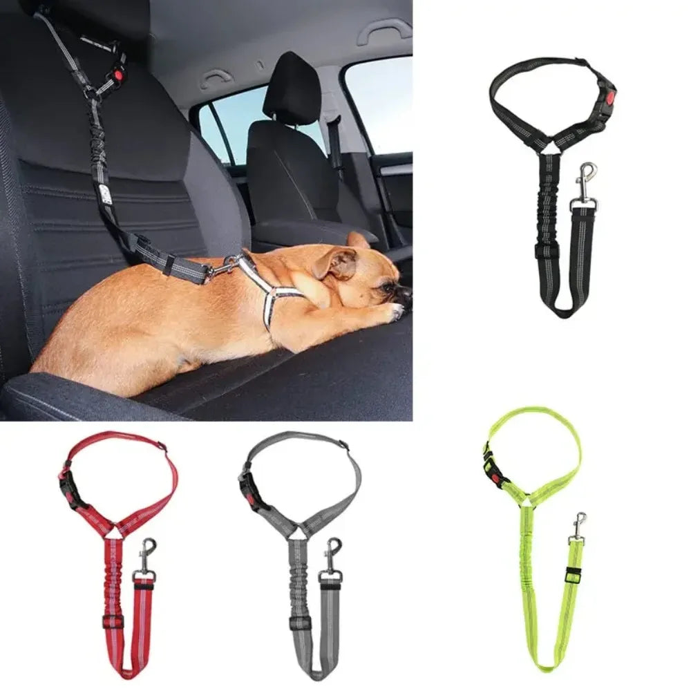 Car Collar Cat Leash Walking Puppy Accessories Harness for Small Dogs Pet Car Supplies Reflective Pet Dog Car Seat Belt Travel