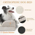 Large Orthopedic Dog Bed, 53x42 Inches, Waterproof Egg Crate Foam, Removable Bolster, Washable Cover, Non-Slip Base, Beige