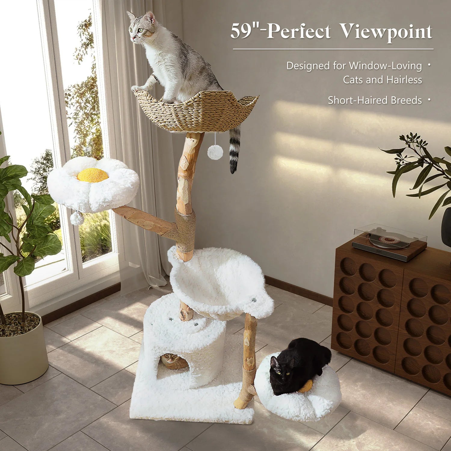 59" Cat Tree Modern Cat Tower with Spacious Cat Condo,Round Cozy Hammock,2 Flower Perches,Double Comfort Perfect for Indoor Cats