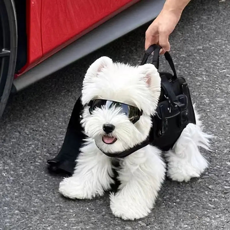 Portable Outdoor Travel Shoulder Bag for Pets Dog Carrier Bag Puppy Sling Suitable for Cats and small Dogs Pet Carrying Supplies
