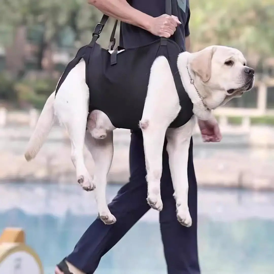 Pet Chest Harness Traction Belt Injury Rehabilitation Disabled Dog Support Belt Elderly Assistance Belt