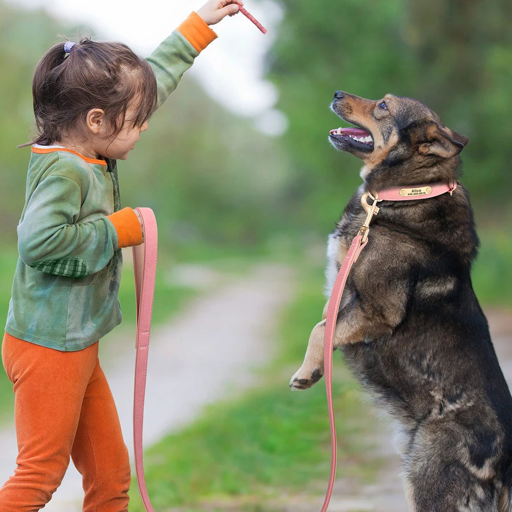 120cm Pet Dog Leash Soft PU Leather Padded Handle Dogs Lead Leash for Dog Walking Training German Shepherd Golden Retriever