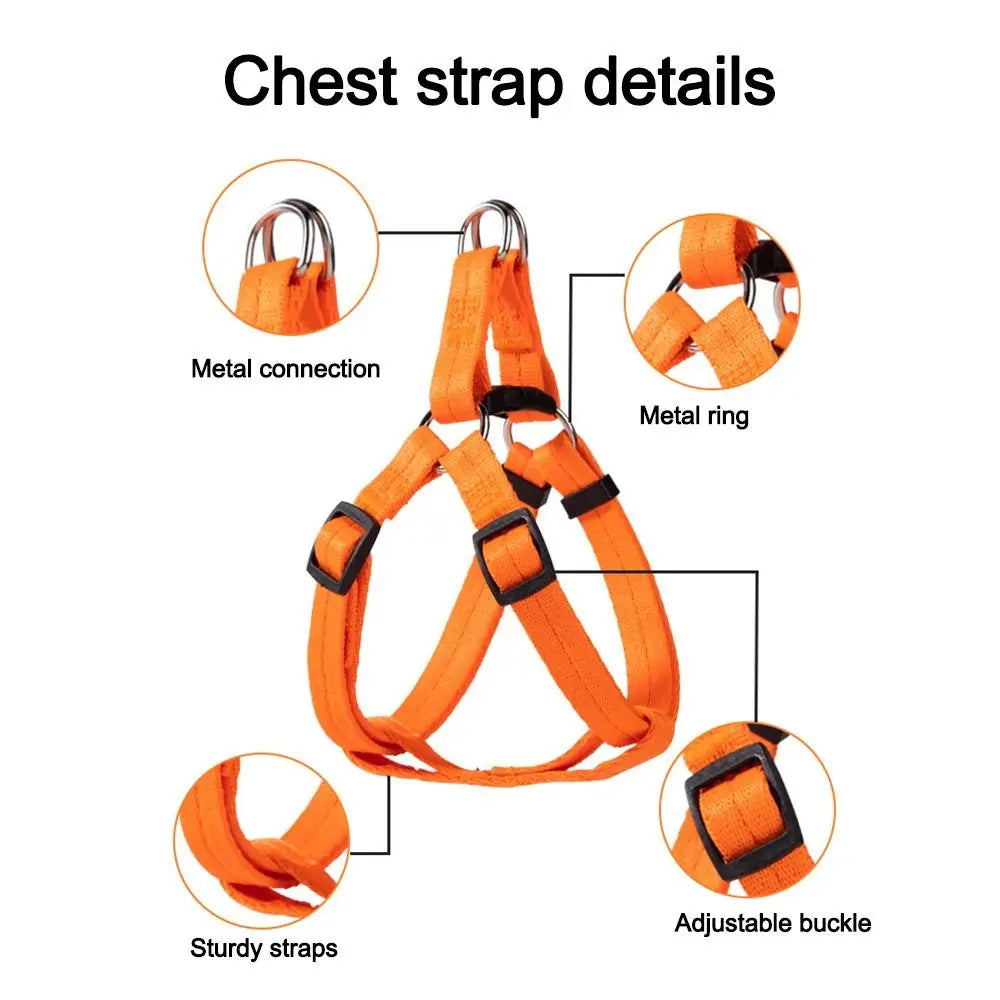 NEW Adjustable Dog Vest Harnesses Puppy Training Breathable Pet Leash Universal Cat Harness Pet Supplies