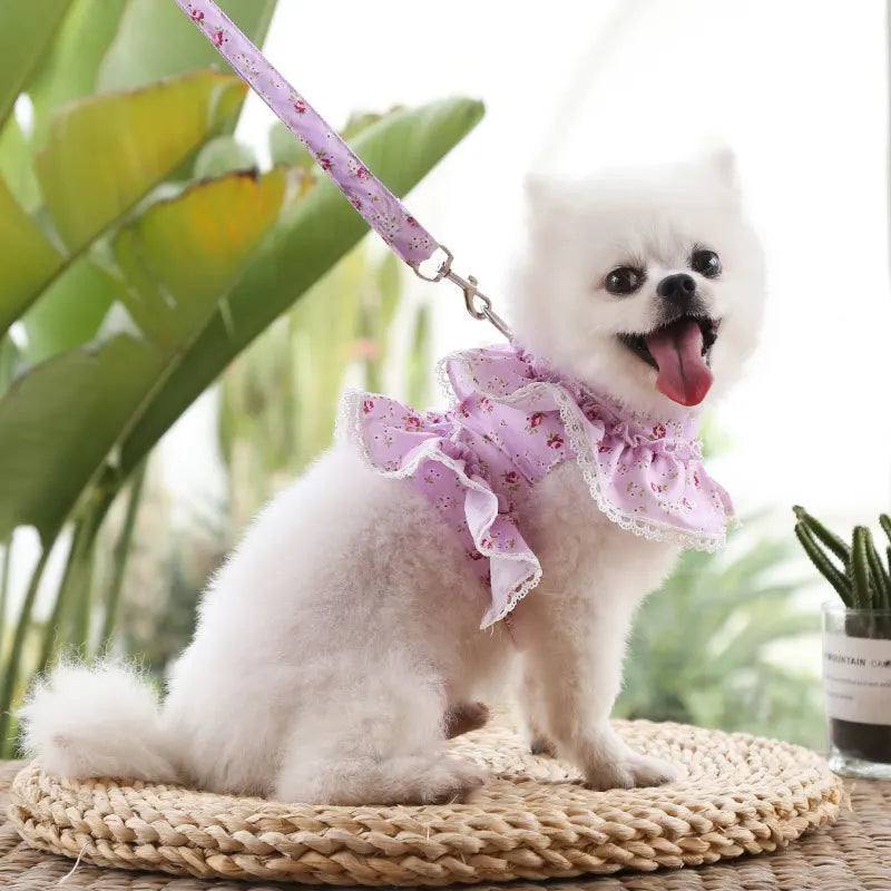 Dog Cat Harness Leash Set Adjustable Cute Lace Floral Printed Pet Harness Vest Dog Clothes Puppy Mesh Harness Dog Accessories