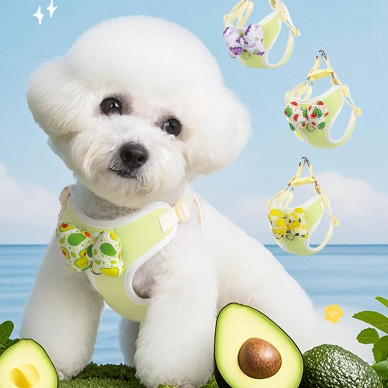2026 New Harness Leash Set Fruit Print No Pull Step-in Harness with Removable Bow Reflective Outdoor Dog Leash for Small Dogs