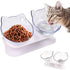 Pet Double Cat Bowl With Raised Stand