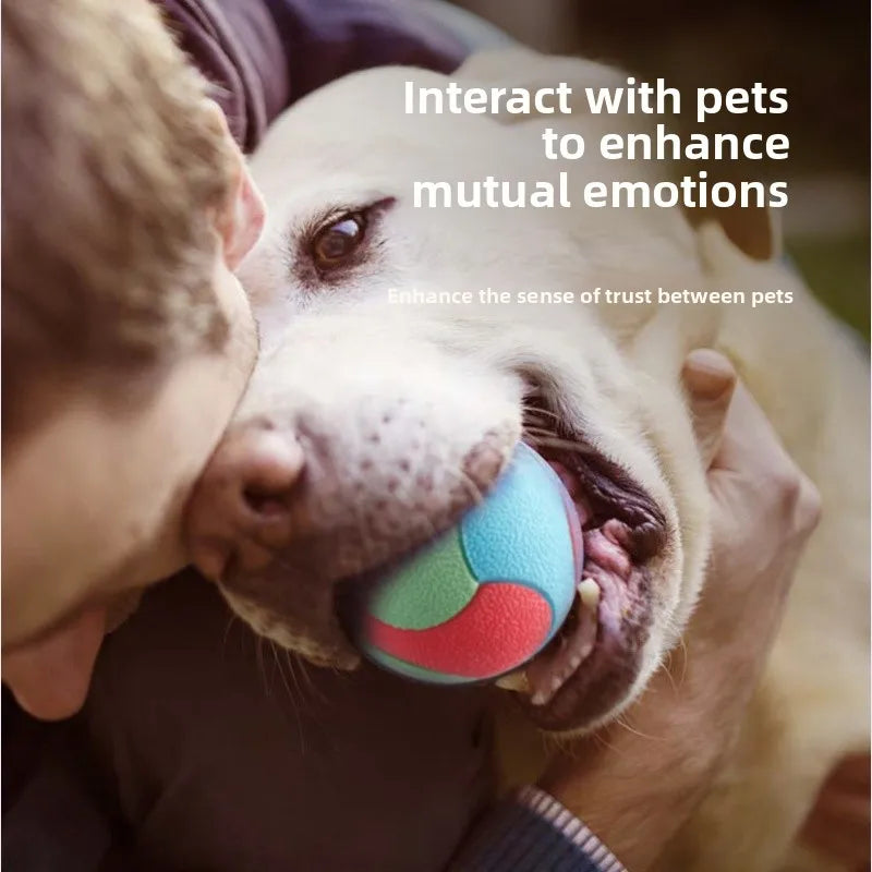Bouncy Ball Toys Pet Dog Toys Bite Resistant  for Small Medium Dogs Tooth Cleaning Ball Dog Chew Toys Pet Training Products