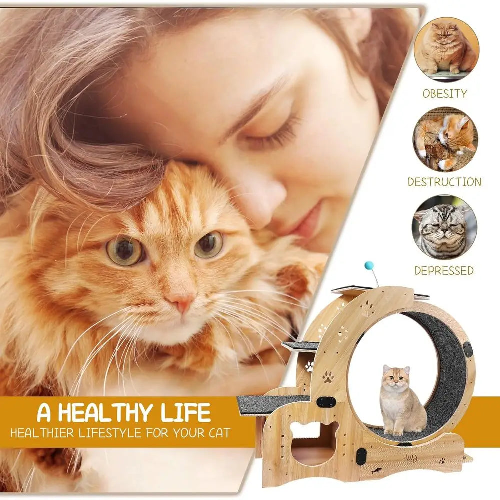 cat Wheel, cat Wheels or Indoor Cats, with Cat Bed, Scratching Board, Detachable Mat, Climb, Nest & Toys, 6 in 1 Large Cats Trea