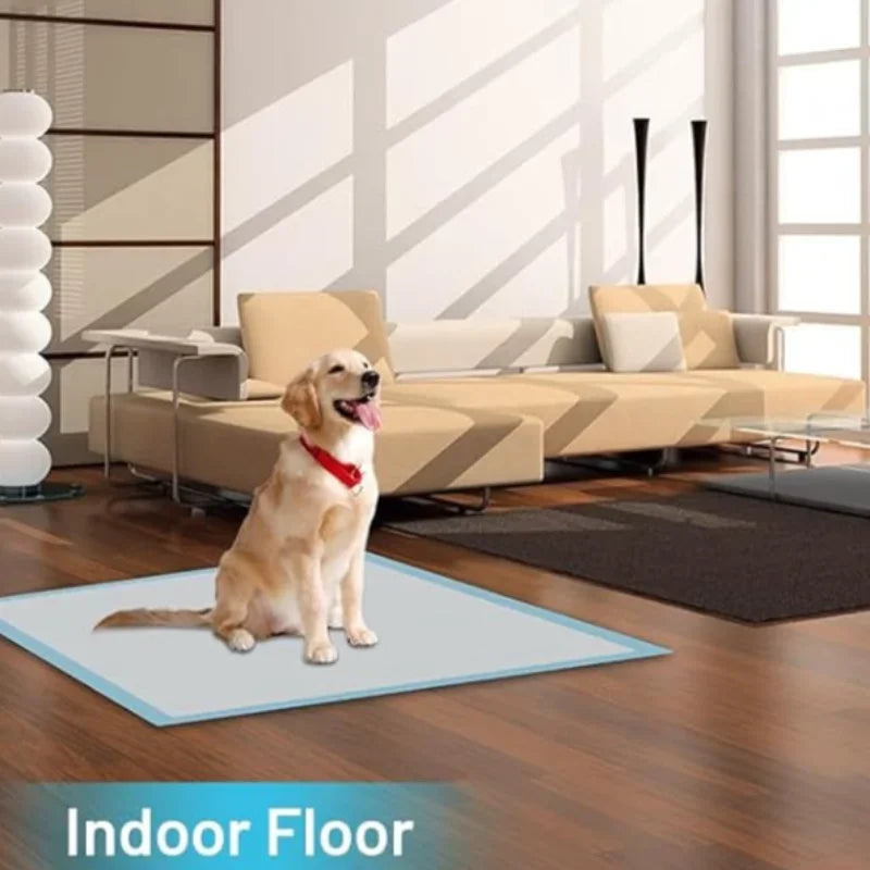 Super Absorbent Dog Diapers Disposable Puppy Training Urine Pads Quick-drying Surface Pads Cleaning Pads Pet Products