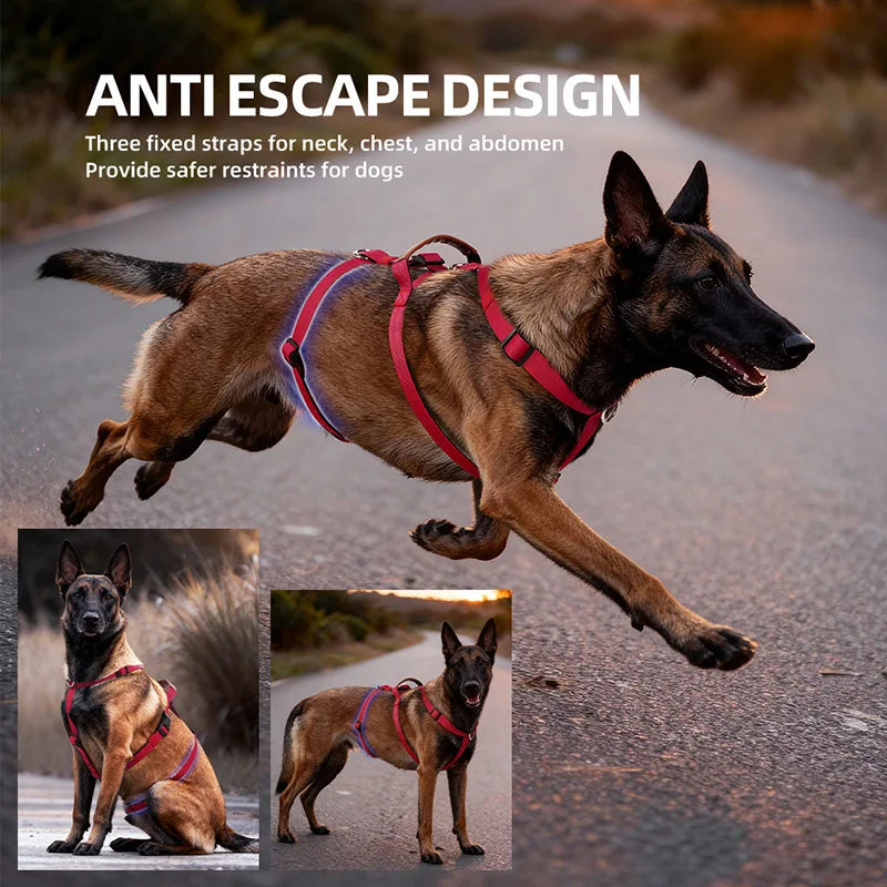 Escape-Proof Nylon Dog Harness with Handle Adjustable No-Pull Pet Harness for Medium Large Dogs Golden Retriever Husky Supplies