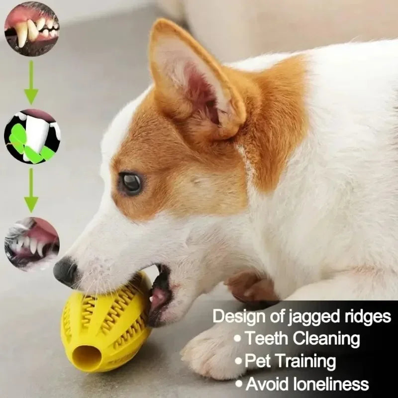 Dog Accessories Pets Products. Pet Dog Chew Toy Natural Rubber Teeth Cleaning Snack Ball Super Hard Toys for Dogs Supplies Home