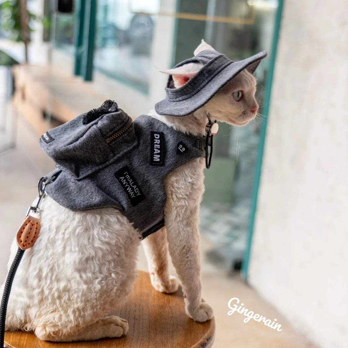 Handmade Luxury Travel Cat Carrier Snack Bag Black Cute Pet Self Backpack Harness Vest for Cats Gotas Katten Sphynx Devon Rex