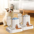 Large Capacity 2 in 1 Cat Food Dispenser Detachable with Water Fountain Automatic Cat Water Feeder Dry Wet Separation