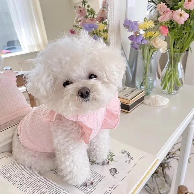 Cute Bow Dog Vest 2025 Dog Clothes Puppy Pullover Summer Pet Clothes Breathable Two-Legged Clothes Solid Color Cat Pet Products