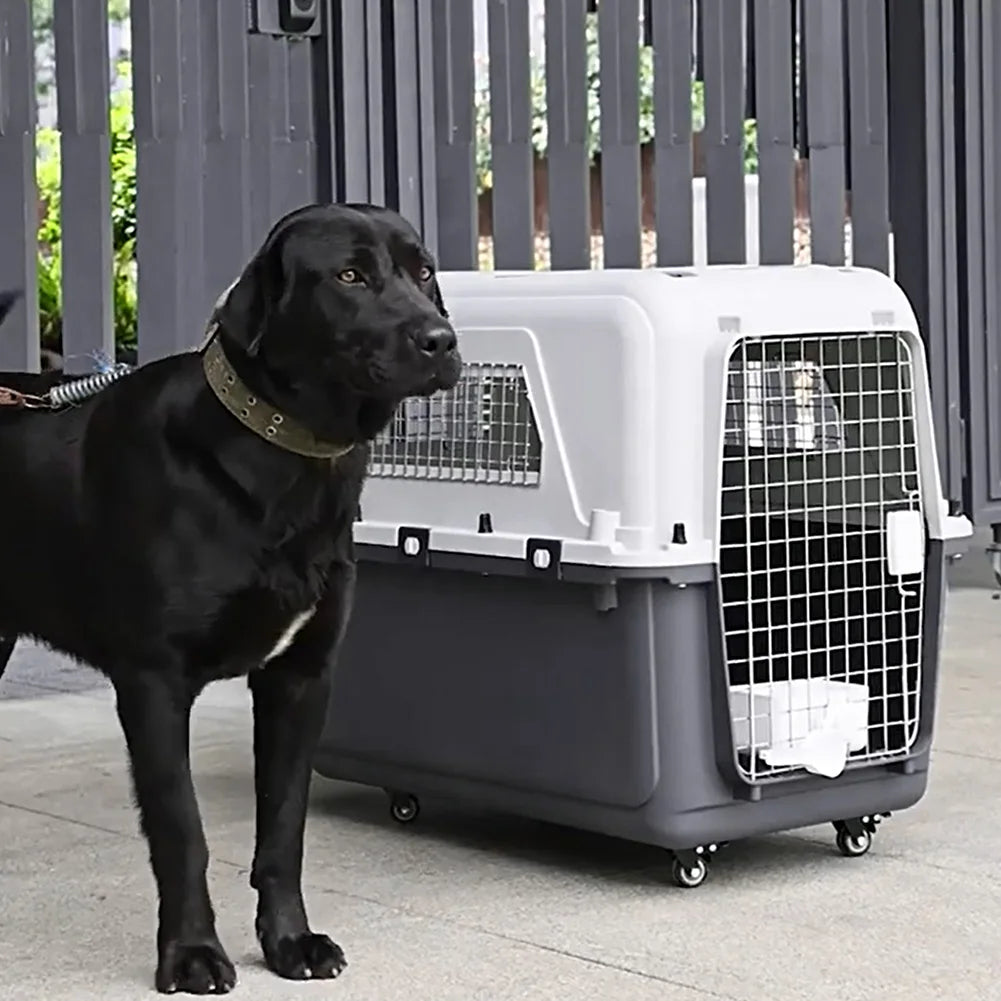 Cats & Rabbit Animal Carrier Travel Cage Box Length 33in/Width 21.6in/Height 25.2in Cats Pet Travel Carrier for Puppies Kittens