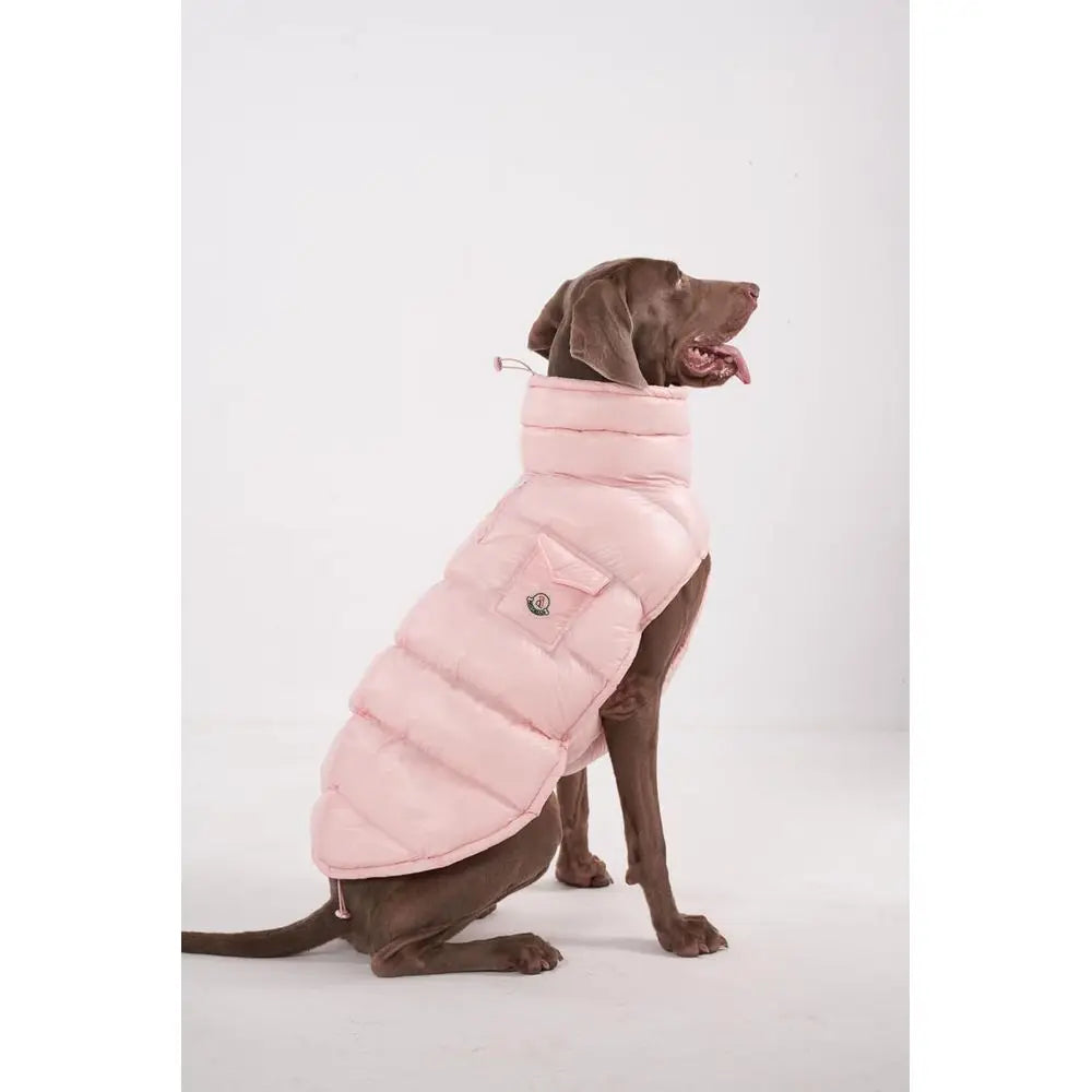 Winter Dog Coat, Lightweight Thermal Insulated, Water-Resistant, Adjustable with Leash Accessory for Small to Large Breeds, Pink
