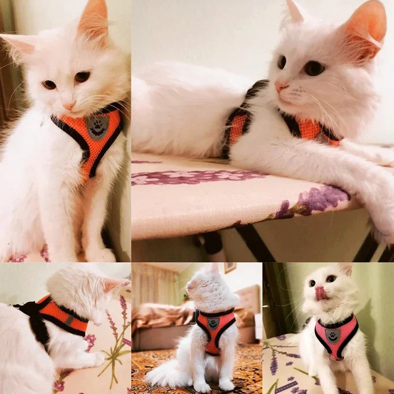 PetHarnessLeash Set -Dog Cat Outdoor Walking Collar, Anti-Pull tow rope，Reflective Chest straps，Adjustable for Small Medium Pets