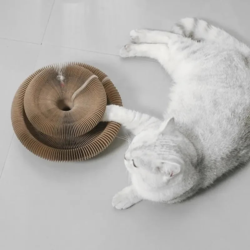 Durable Cat Toy Cat Accordion Magic Organ Cat Scratching Board Cat Toy Ball Scratch Pad Cat Scratcher Kitty Kurlz
