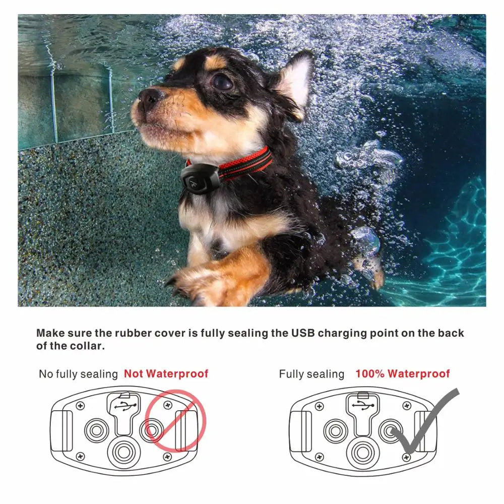 2 in 1 Dog Training Collar & Anti Bark Collar 600M Rechargeable Dog Electric Collar Waterproof Remote Dog Pet Product