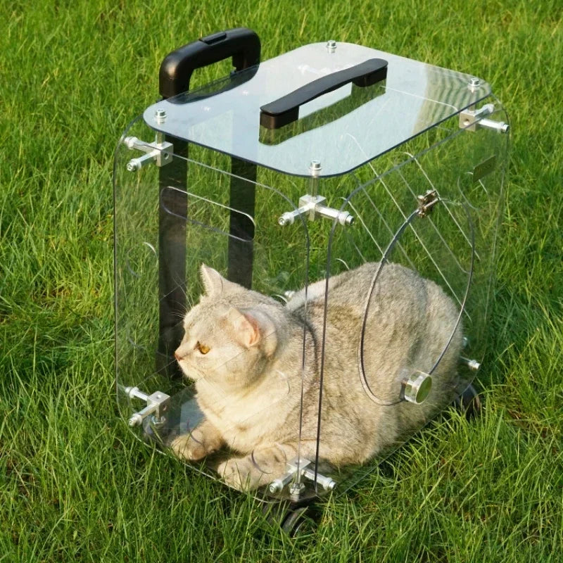 Good-looking Pet Trolley Cat Bag Out Portable Clear Cat Suitcase Large Capacity Dog Carrier Air Suitcases Transport Pet Products