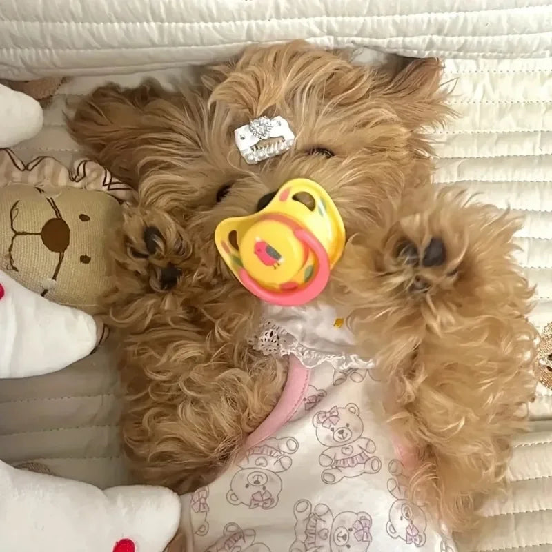 1pc Pet Silicone Pacifier Pet Calming Pacifier,  Chew Toy, Food Grade Silicone Supplies Dogs Accessoires Pet Products