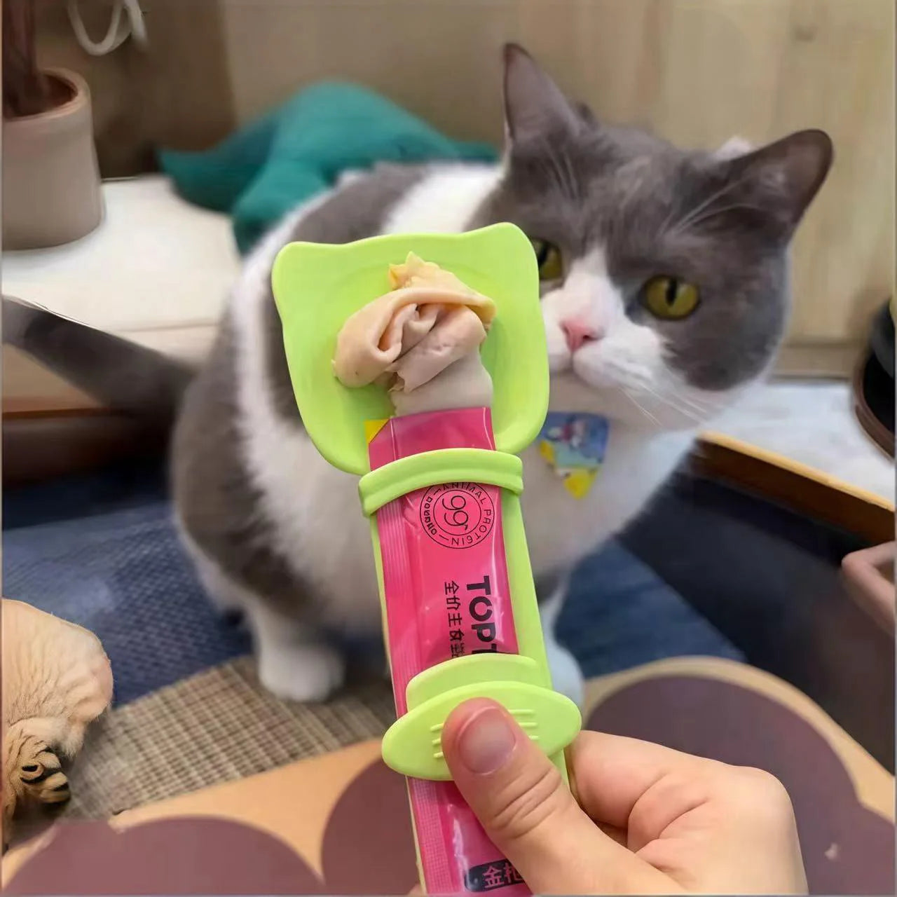 Cat Feeder Cat Strip Squeeze Spoon Pet Liquid Snack Spoon Liquid Feeding Food Squeezer Without Residue Cat Feeder Pet Supplies