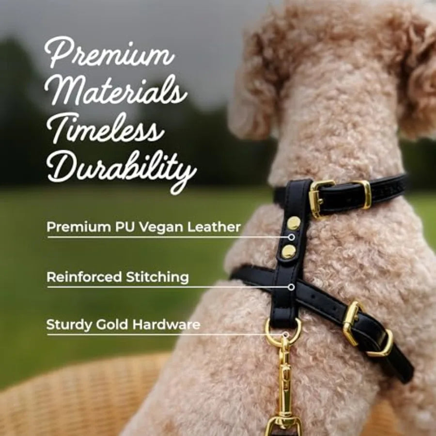 Luxury No Pull Dog Harness and Leash Set PU Leather Escape-Proof Design Anti-Choke Comfort Front/Back Attachment Essential Pet